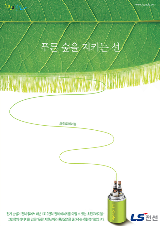 그린 & 블루